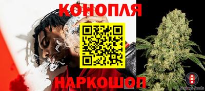 эйфоретик Владимир
