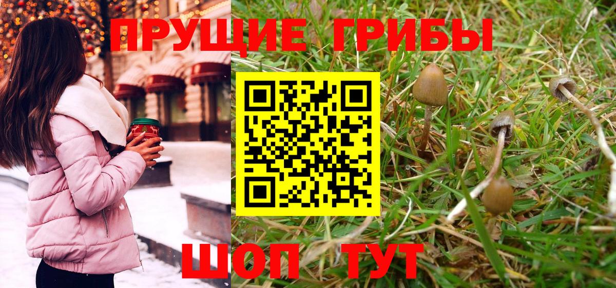 Галлюциногенные грибы MAGIC MUSHROOMS  Вход с VPN  Воткинск 
